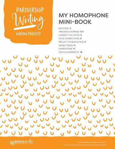My Homophone Mini-Book