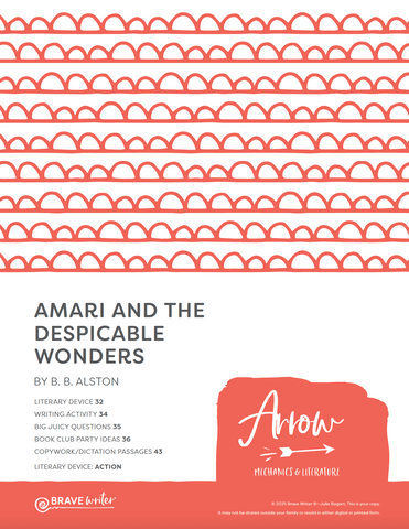 Amari and the Despicable Wonders