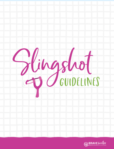Slingshot Contemporary
