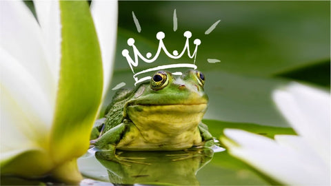 Young Storytellers—Unleashed!